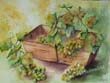 raisin-panier2