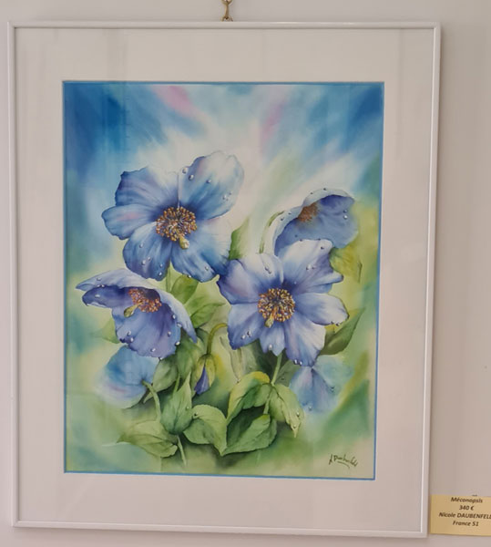aquarelle de N daubenfeld à St Yrieix la perche