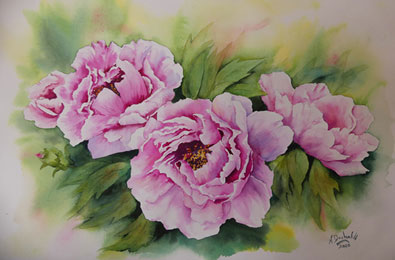 aquarelle de pivoines exposée à St Yrieix